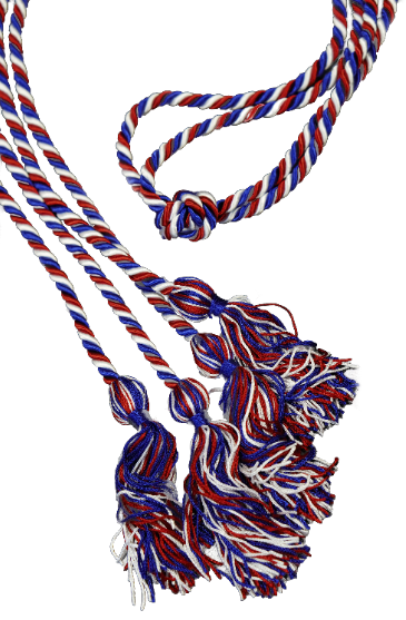 Intertwined Cords (set of 2) (6008222)